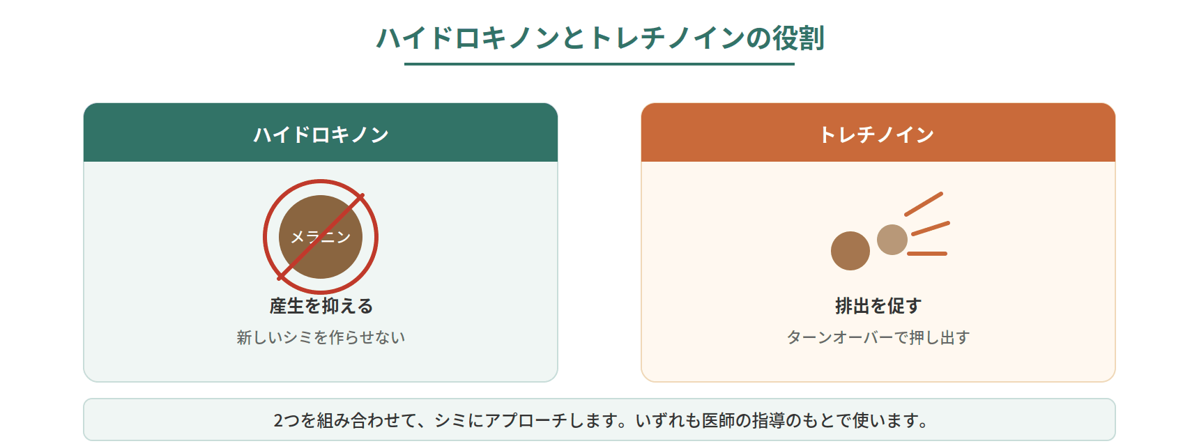 ハイドロキノンがメラニンの産生を抑え、トレチノインがメラニンの排出を促す、2つの成分の役割分担を示した図